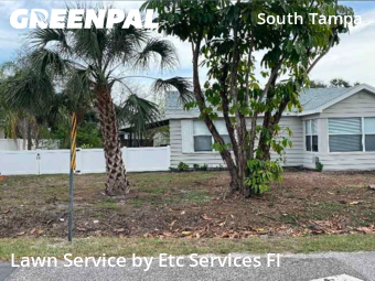 Lawn Cutin Tampa,33611,Lawn Care Service by Etc Services Fl, work completed in Jan , 2026