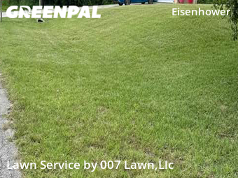 Lawn Maintenance nearby Lehigh Acres, FL, 