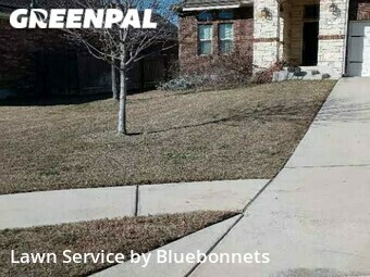 Lawn Cutting nearby Pflugerville, TX, 