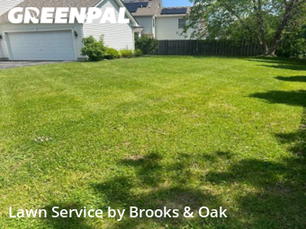 Grass Cut nearby North Aurora, IL, 