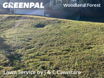 Yard Mowing nearby Nashville, TN, 