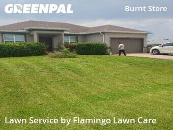 Lawn Cut nearby Cape Coral, FL, 
