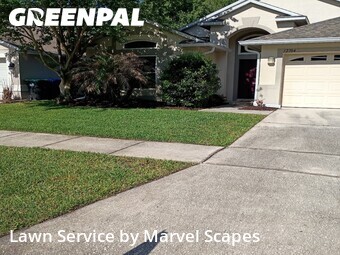 Lawn Cut nearby Orlando, FL, 