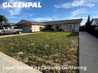 Work completed by affordable-grass-cutting-businesses-in-Los Angeles-CA