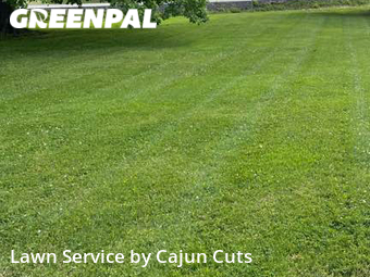 Lawn Mow nearby Murfreesboro, TN, 