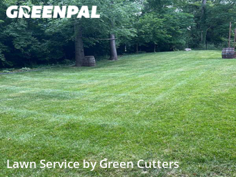 Lawn Mowing nearby Indianapolis, IN, 