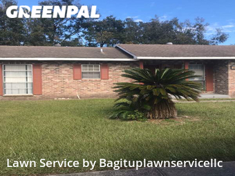 Yard Mowingin Pine Hills,32808,Yard Mowing by Bagituplawnservicellc, work completed in Dec , 2025