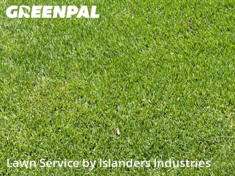 Yard Cutting nearby Westminster, LA, 