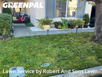 Work completed by professional-lawn-care-service-in-Fairfield-CA
