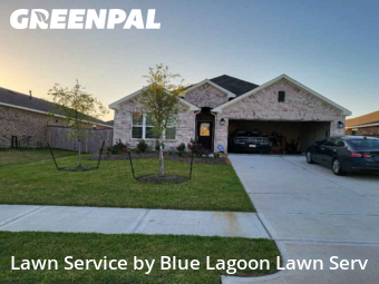 Yard Cuttingin Rosenberg,77471,Lawn Service by Blue Lagoon Lawn Serv, work completed in Nov , 2025