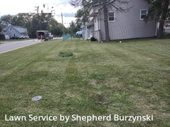 Lawn Mow nearby Westmont, IL, 