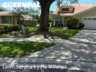 Grass Cut nearby Palm Harbor, FL, 