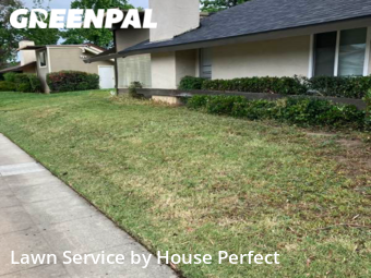 Grass Cut nearby Fresno, CA, 