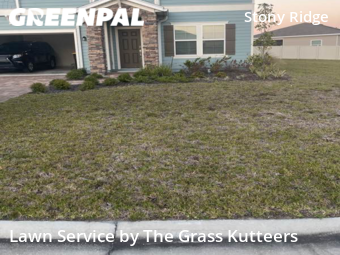 Grass Cutting nearby Jacksonville, FL, 