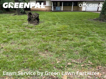 Lawn Mow nearby Springfield, MO, 