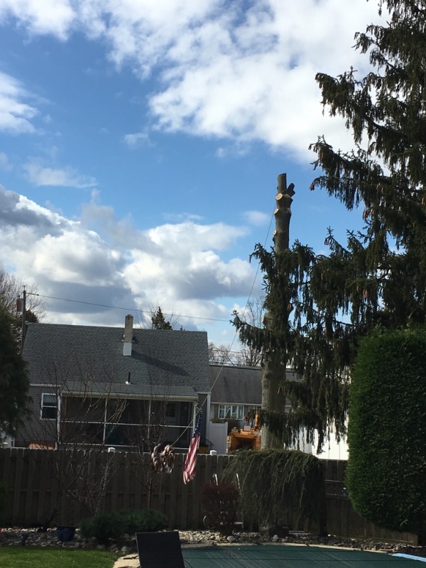 Crew Cuts Lawn Svc. Lawn Care Services in Hamilton Township, NJ