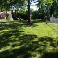 residential-lawn-cutting-businesses-in-Blue Springs-MO