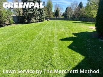 Grass Cutting nearby Aurora, IL, 