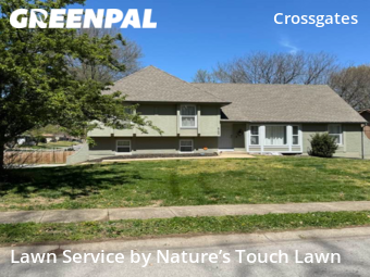 Lawn Mow nearby Grandview, MO, 