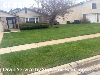 Lawn mowed in Hanover Park, 60133
