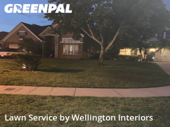 Lawn Mow nearby Orlando, FL, 