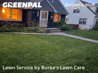 Grass Cutting nearby Saint Paul, MN, 