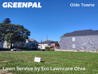 Affordable Landscaping Maintenance Services In Columbus,43205,Landscape Design by Eco Lawncare Ohio, work completed in Oct , 2025