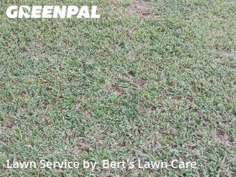 Grass Cutting nearby Fort Lauderdale, FL, 