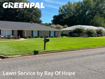 Lawn Mow nearby Tuscaloosa, AL, 