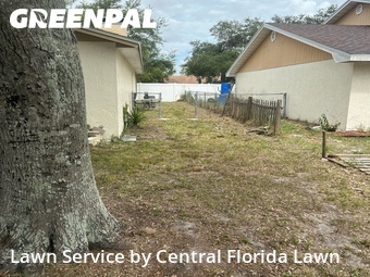 Lawn Mowing Service nearby Winter Haven, FL, 