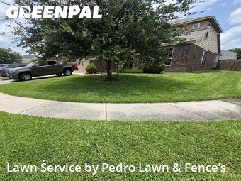 Lawn Cuttingin Tomball,77375,Lawn Mow by Pedro Lawn & Fence’s, work completed in Jun , 2026