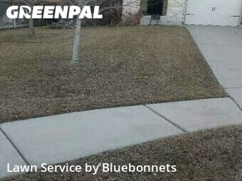 Lawn Mowing nearby Pflugerville, TX, 
