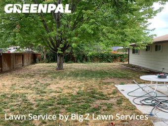 Lawn Mow nearby Boise, ID, 