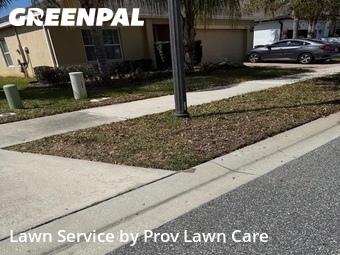 Lawn Mow nearby Saint Cloud, FL, 