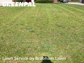 Lawn Care Service nearby Gonzales, LA, 