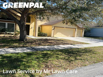 Lawn Care nearby Brandon, FL, 