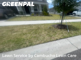 Yard Cutting nearby Wimauma, FL, 