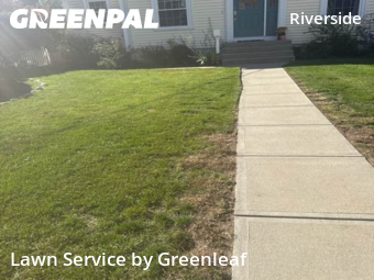 Yard Services in Warwick, 2888, Lawn Cutting by Greenleaf, work completed in Oct , 2025