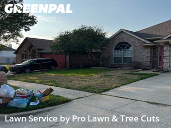 Lawn Mow nearby Arlington, TX, 