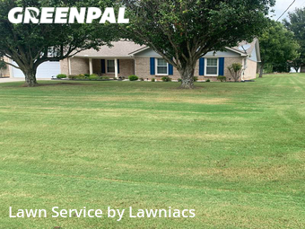 Lawn Care nearby Harvest, AL, 