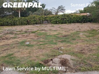 Lawn Care Service nearby Tampa, FL, 