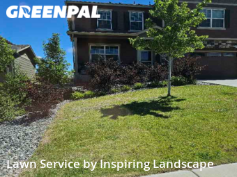 Lawn Servicein Castle Rock,80104,Lawn Cutting by Inspiring Landscape, work completed in Nov , 2025
