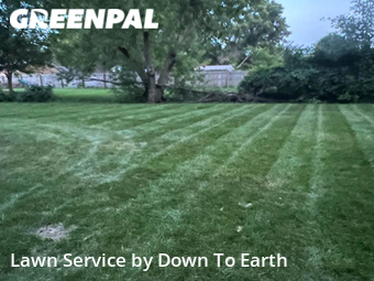 Lawn Cut nearby Bay City, MI, 