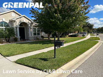 Lawn Cut nearby Land O' Lakes, FL, 