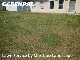 Yard Mowing nearby Minneola, FL, 