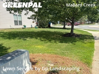 Grass Cutting nearby Charlotte, NC, 