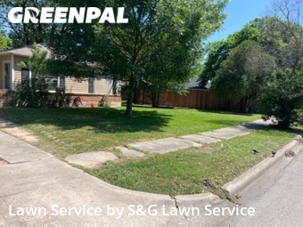 Grass Cut nearby Dallas, TX, 