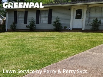 Grass Cut nearby Pearl, MS, 
