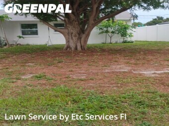 Lawn Maintenancein Clearwater,33765,Lawn Care by Etc Services Fl, work completed in Jul , 2026