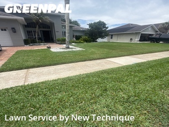 Grass Cut nearby Winter Springs, FL, 